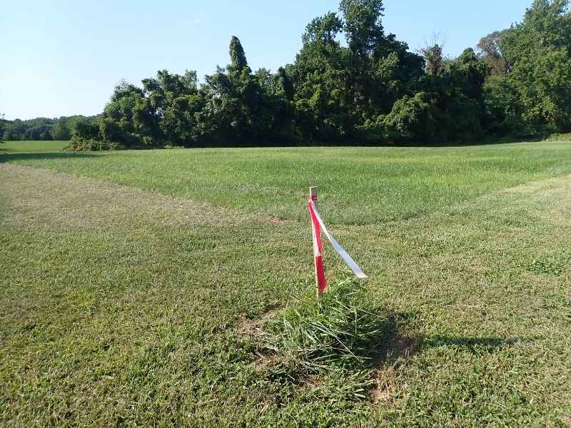 Property line markers with survey tape marking a residential lot boundary in an open grassy area